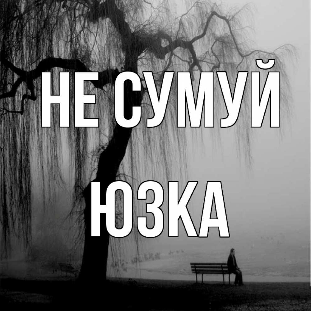 Открытка на каждый день з підписом, Юзка Не сумуй висящие ветки дерева и лавочка под деревом Прикольна листівка з побажанням онлайн скачати безкоштовно 