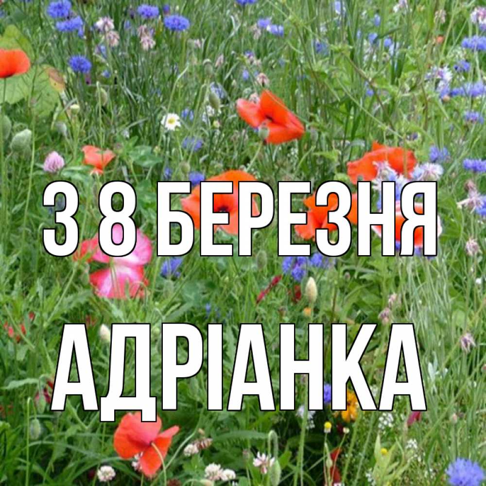 Открытка на каждый день з підписом, Адріанка З 8 БЕРЕЗНЯ международный женский день 4 Прикольна листівка з побажанням онлайн скачати безкоштовно 
