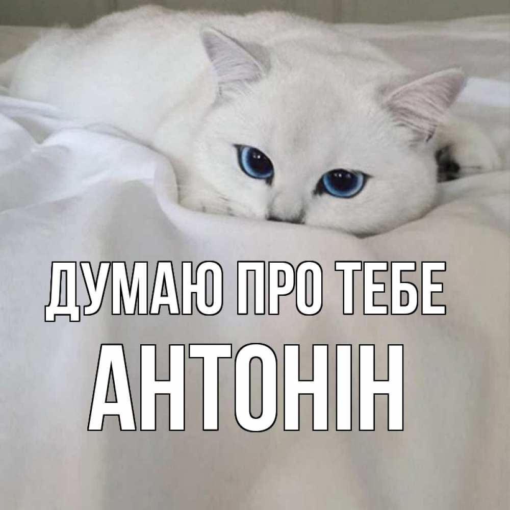 Открытка на каждый день з підписом, Антонін Думаю про тебе я очень по тебе скучаю и тоскую Прикольна листівка з побажанням онлайн скачати безкоштовно 