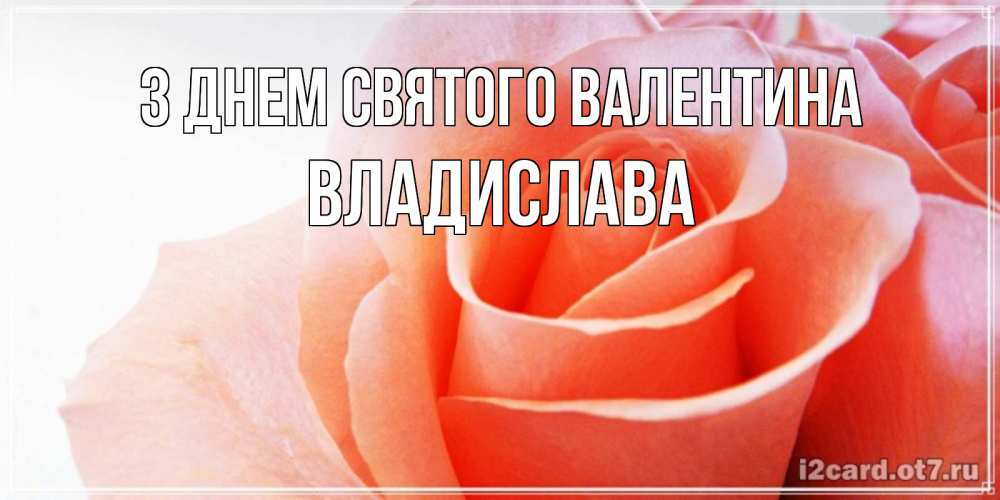 Открытка на каждый день з підписом, Владислава З Днем Святого Валентина открытка на день Святого Валентина с розовой розой Прикольна листівка з побажанням онлайн скачати безкоштовно 