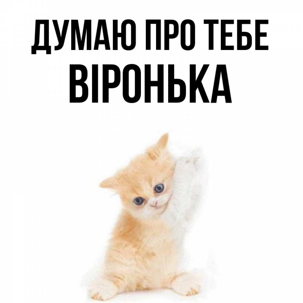 Открытка на каждый день з підписом, Віронька Думаю про тебе зверушки и милота Прикольна листівка з побажанням онлайн скачати безкоштовно 