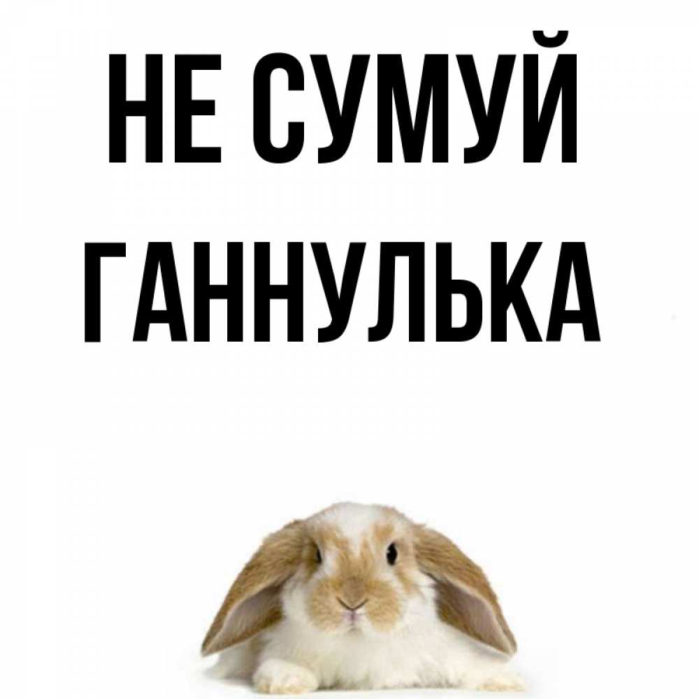 Открытка на каждый день з підписом, Ганнулька Не сумуй коричнево белый заяц с большими ушками Прикольна листівка з побажанням онлайн скачати безкоштовно 