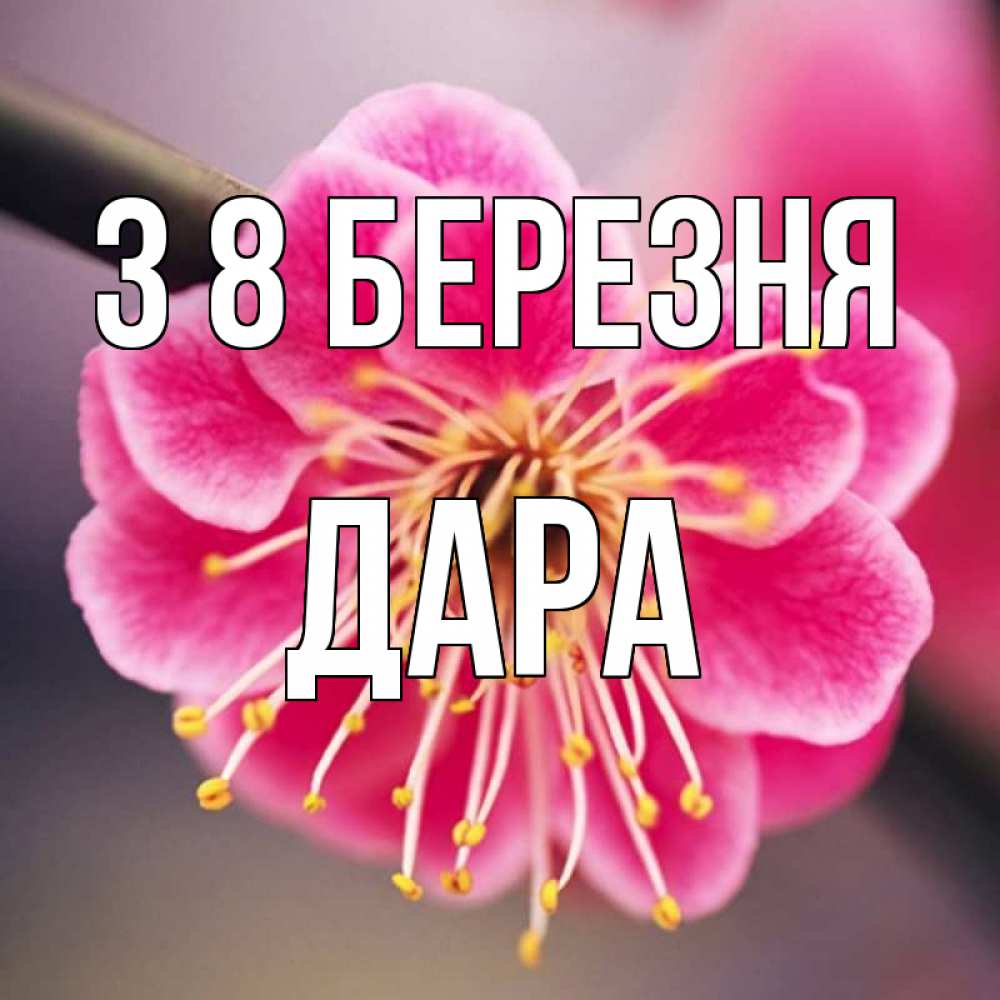 Открытка на каждый день з підписом, Дара З 8 БЕРЕЗНЯ цветы Прикольна листівка з побажанням онлайн скачати безкоштовно 
