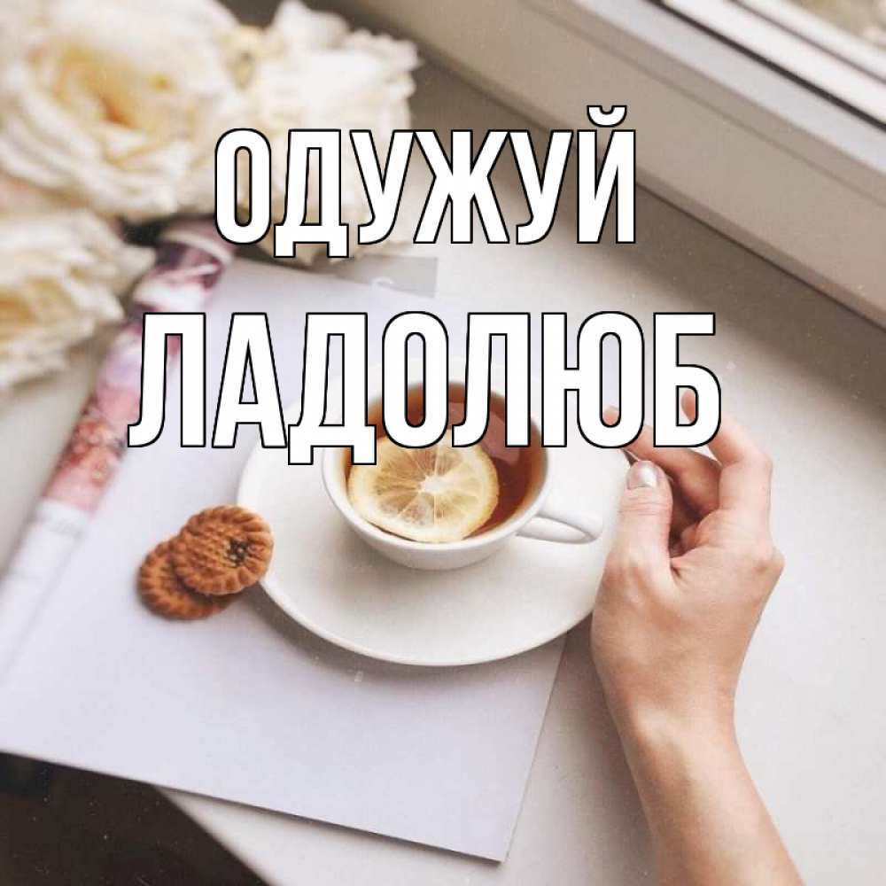 Открытка на каждый день з підписом, Ладолюб Одужуй и печеньками Прикольна листівка з побажанням онлайн скачати безкоштовно 
