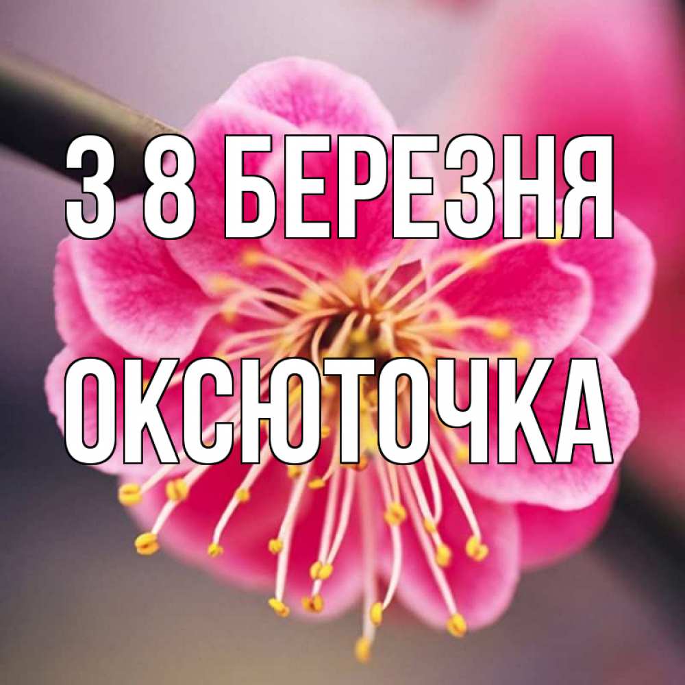 Открытка на каждый день з підписом, Оксюточка З 8 БЕРЕЗНЯ цветы Прикольна листівка з побажанням онлайн скачати безкоштовно 