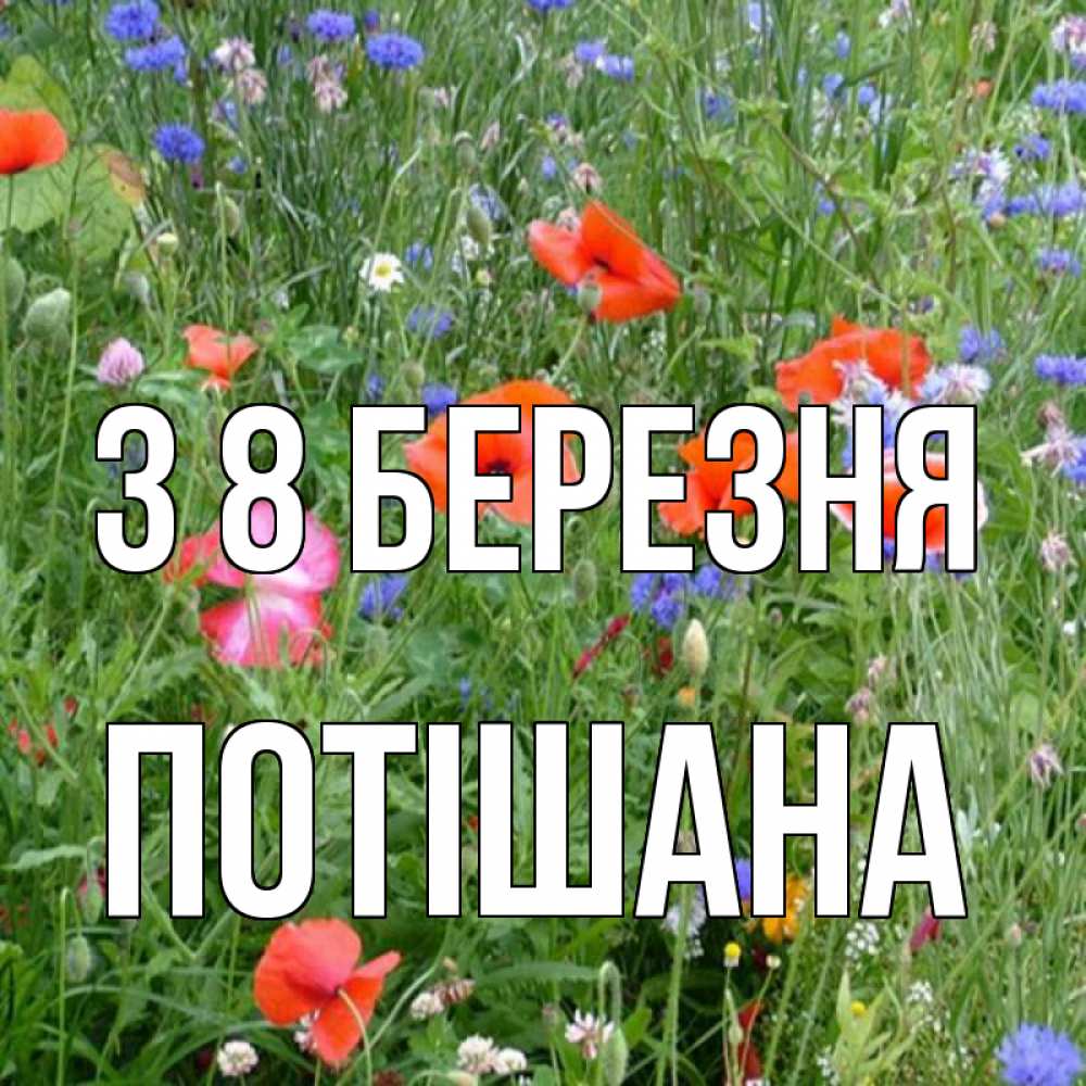 Открытка на каждый день з підписом, Потішана З 8 БЕРЕЗНЯ международный женский день 4 Прикольна листівка з побажанням онлайн скачати безкоштовно 