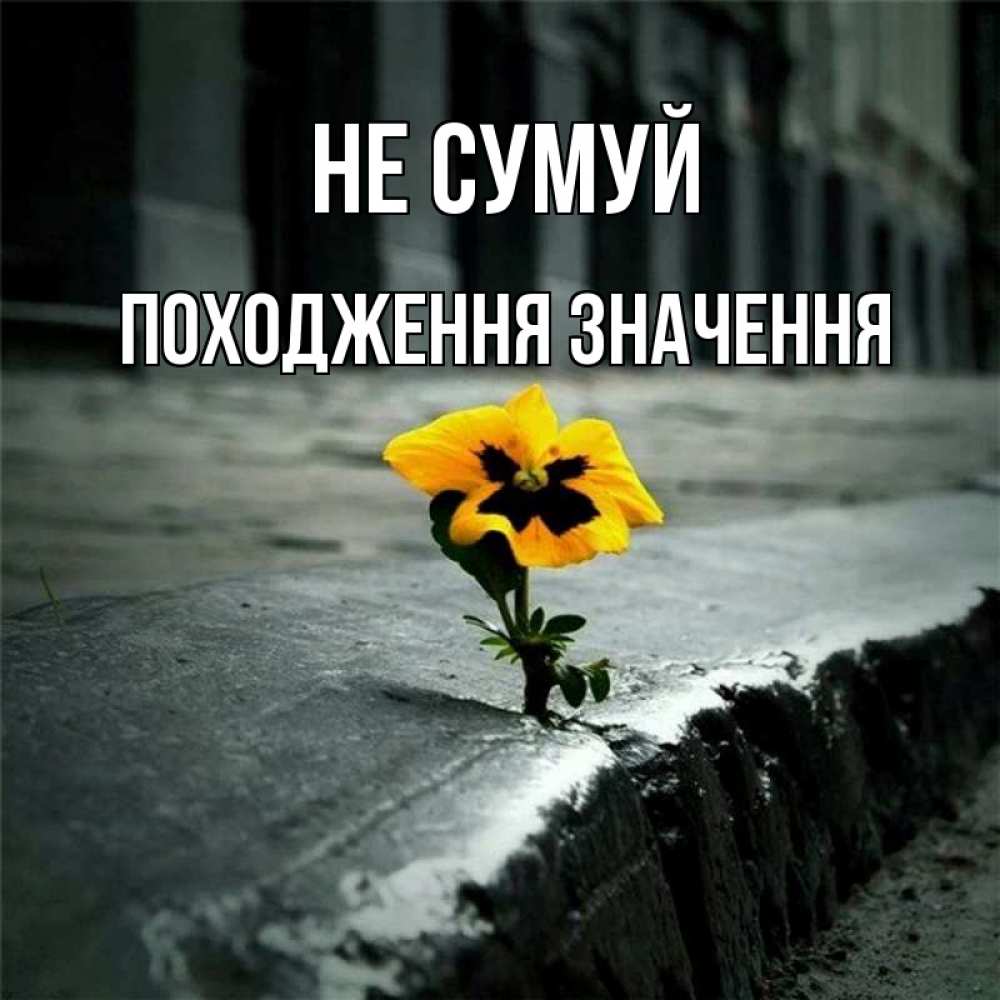 Открытка на каждый день з підписом, Походження,-значення Не сумуй не сдавайся Прикольна листівка з побажанням онлайн скачати безкоштовно 