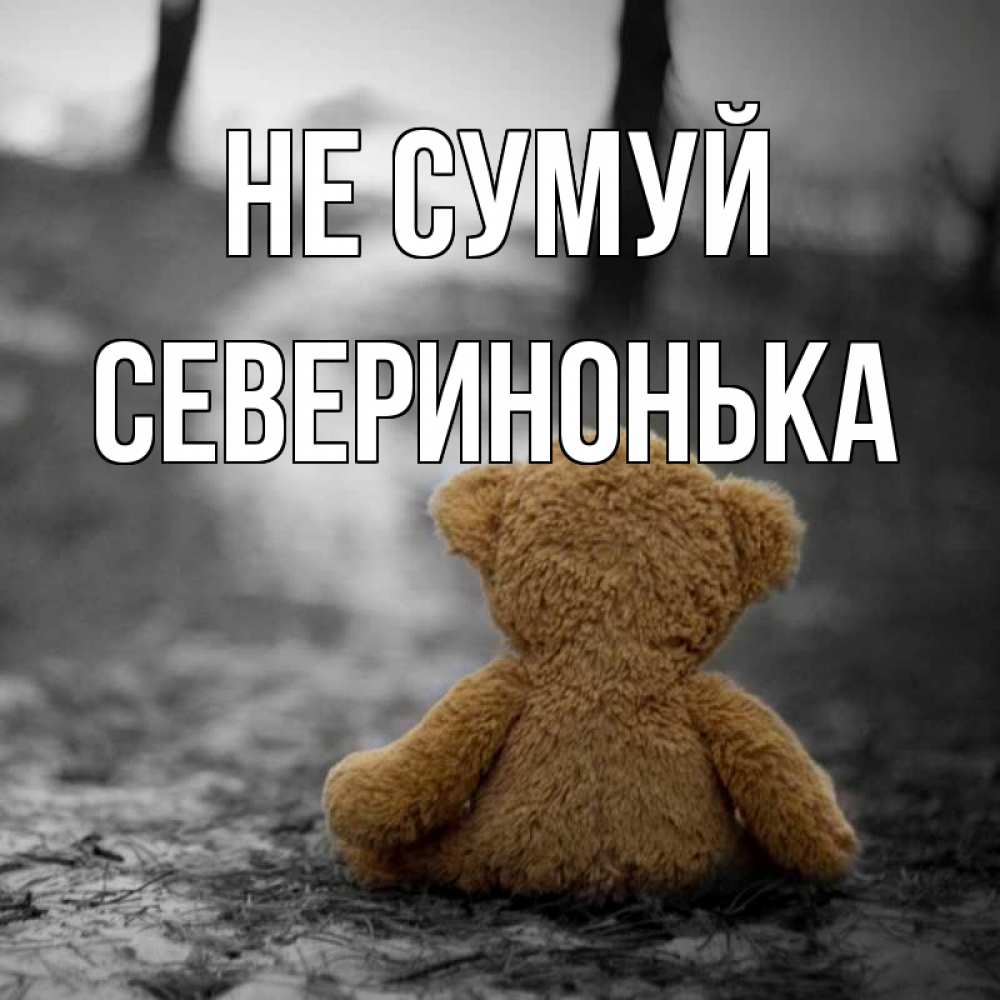 Открытка на каждый день з підписом, Северинонька Не сумуй медведь со спин Прикольна листівка з побажанням онлайн скачати безкоштовно 