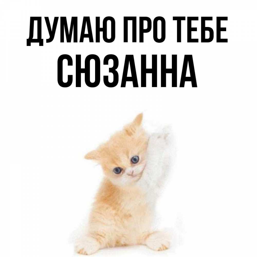 Открытка на каждый день з підписом, Сюзанна Думаю про тебе зверушки и милота Прикольна листівка з побажанням онлайн скачати безкоштовно 