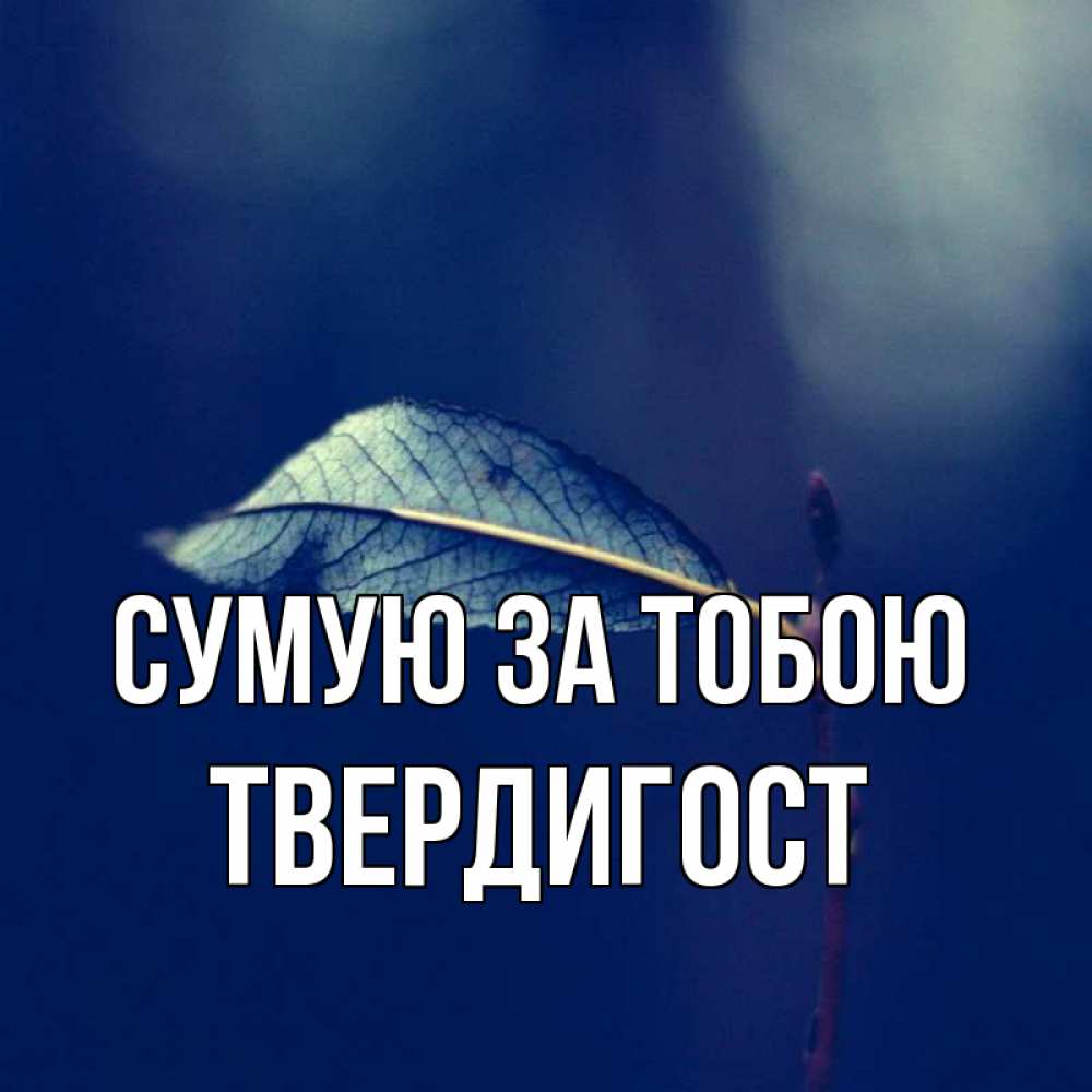 Открытка на каждый день з підписом, Твердигост Сумую за тобою одна ветка 1 Прикольна листівка з побажанням онлайн скачати безкоштовно 