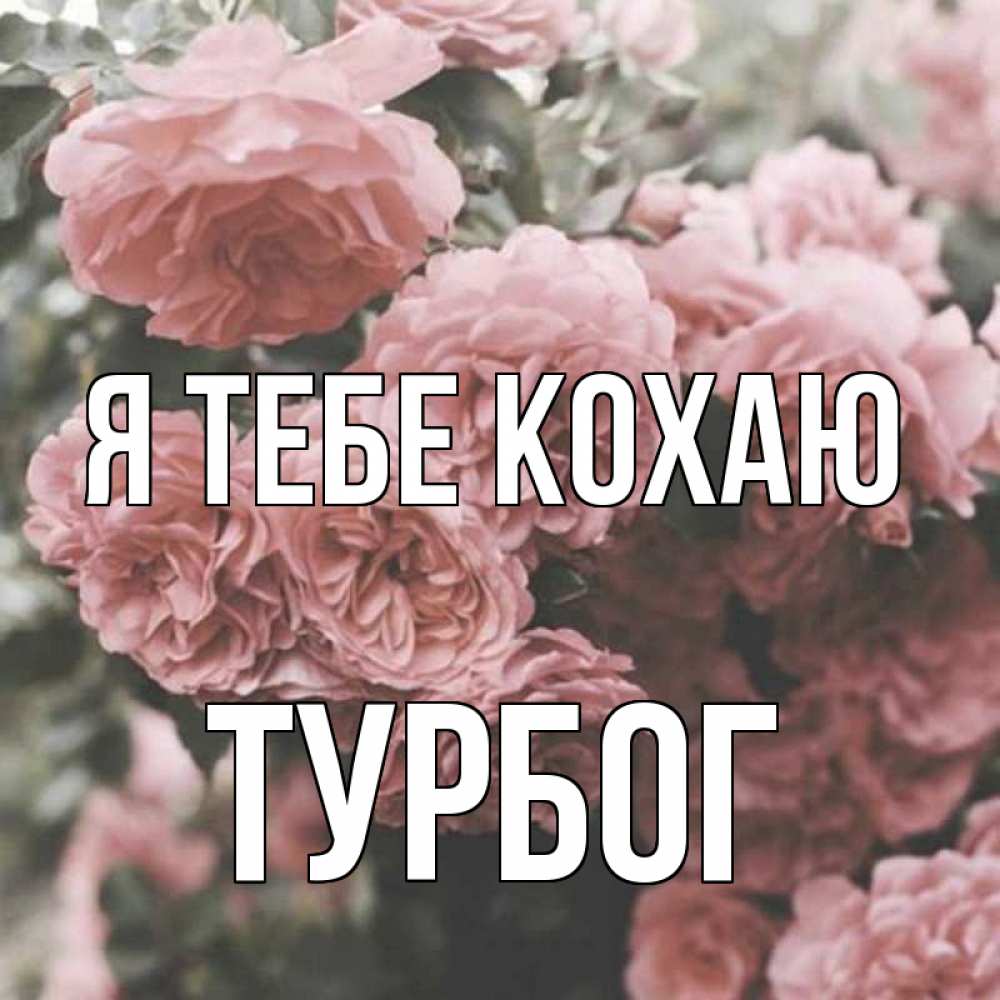 Открытка на каждый день з підписом, Турбог Я тебе кохаю розы 3 Прикольна листівка з побажанням онлайн скачати безкоштовно 