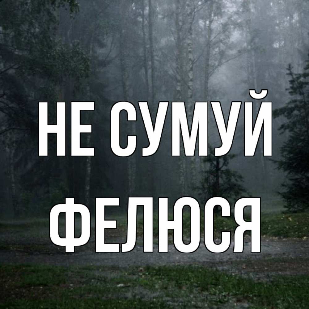 Открытка на каждый день з підписом, Фелюся Не сумуй осень Прикольна листівка з побажанням онлайн скачати безкоштовно 