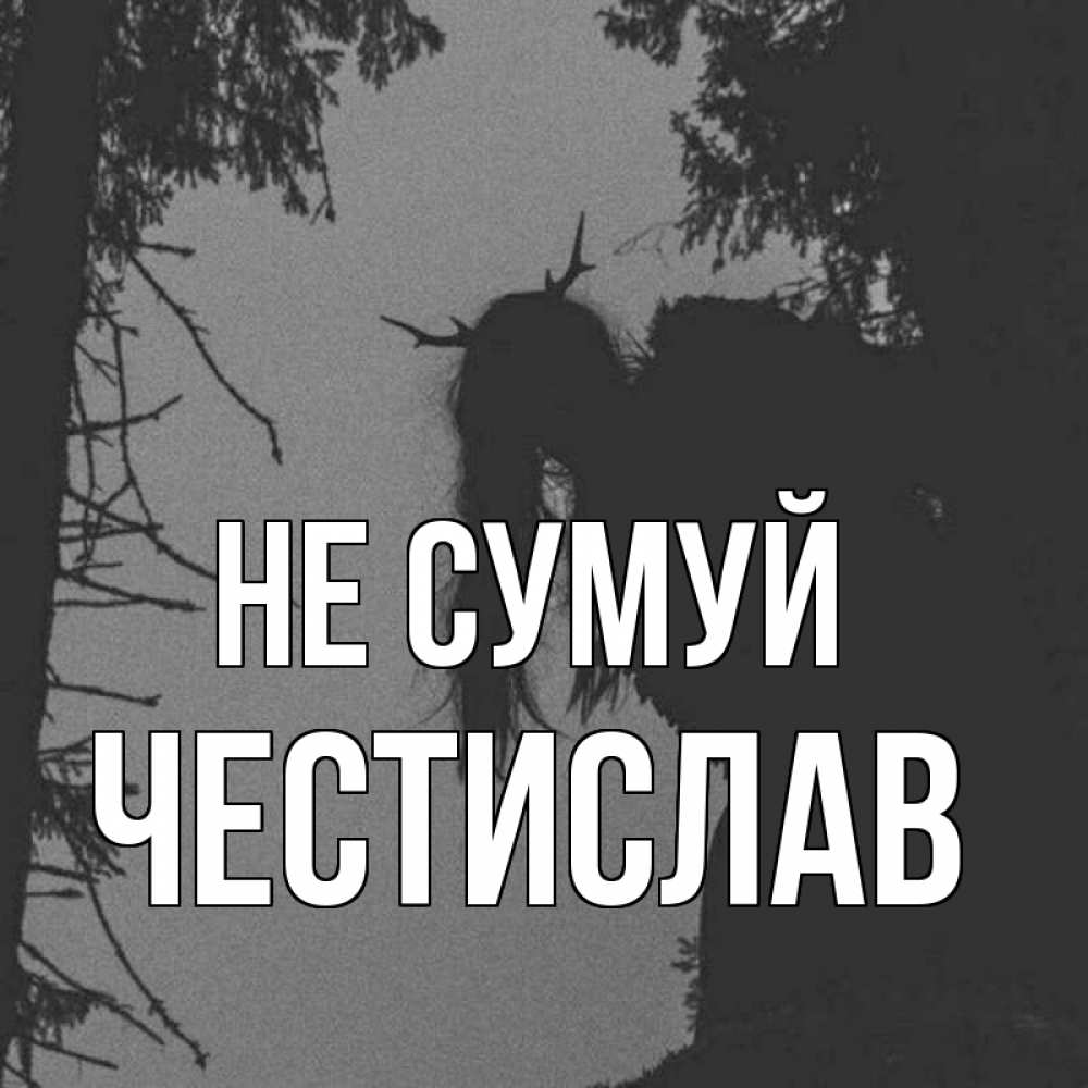 Открытка на каждый день з підписом, Честислав Не сумуй чудище лесное Прикольна листівка з побажанням онлайн скачати безкоштовно 