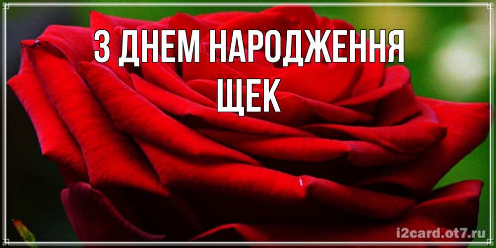 Открытка на каждый день з підписом, Щек З Днем народження розочка очень красивая Прикольна листівка з побажанням онлайн скачати безкоштовно 