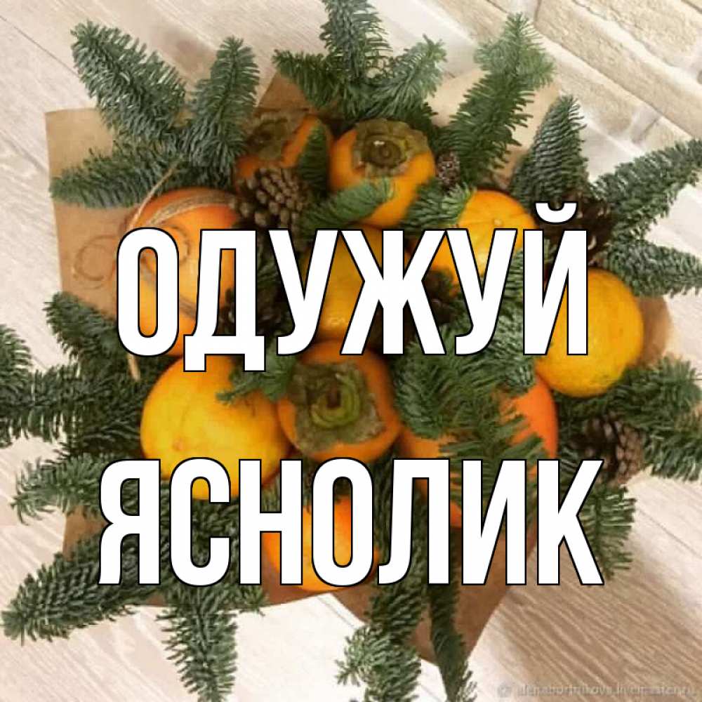 Открытка на каждый день з підписом, Яснолик Одужуй апельсины и хурьма Прикольна листівка з побажанням онлайн скачати безкоштовно 