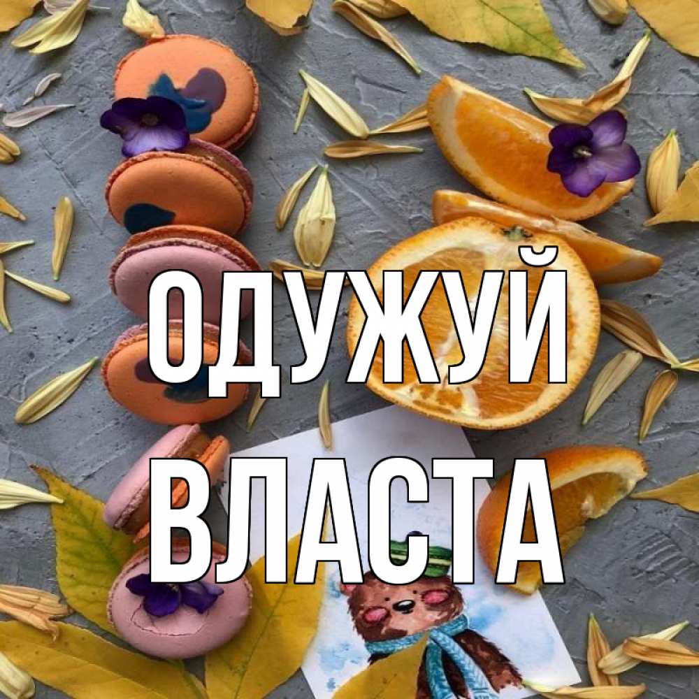 Открытка на каждый день з підписом, Власта Одужуй не болейте Прикольна листівка з побажанням онлайн скачати безкоштовно 