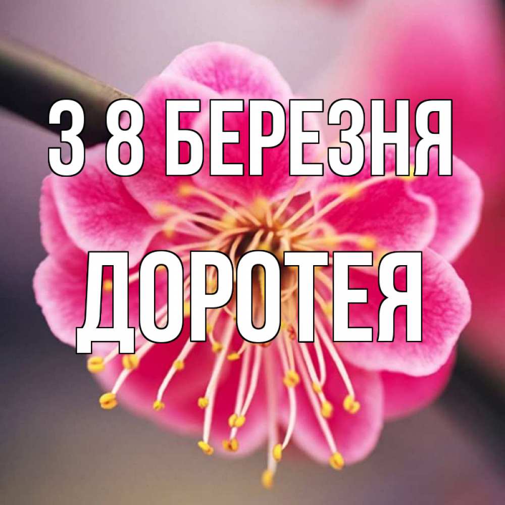 Открытка на каждый день з підписом, Доротея З 8 БЕРЕЗНЯ цветы Прикольна листівка з побажанням онлайн скачати безкоштовно 