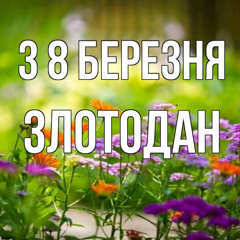 Открытка на каждый день з підписом, Злотодан З 8 БЕРЕЗНЯ цветы Прикольна листівка з побажанням онлайн скачати безкоштовно 