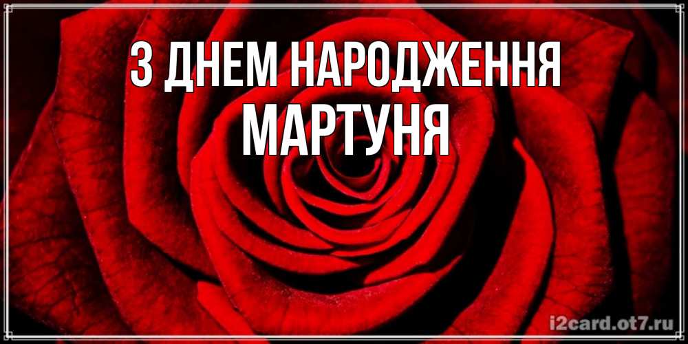 Открытка на каждый день з підписом, Мартуня З Днем народження алая роза Прикольна листівка з побажанням онлайн скачати безкоштовно 
