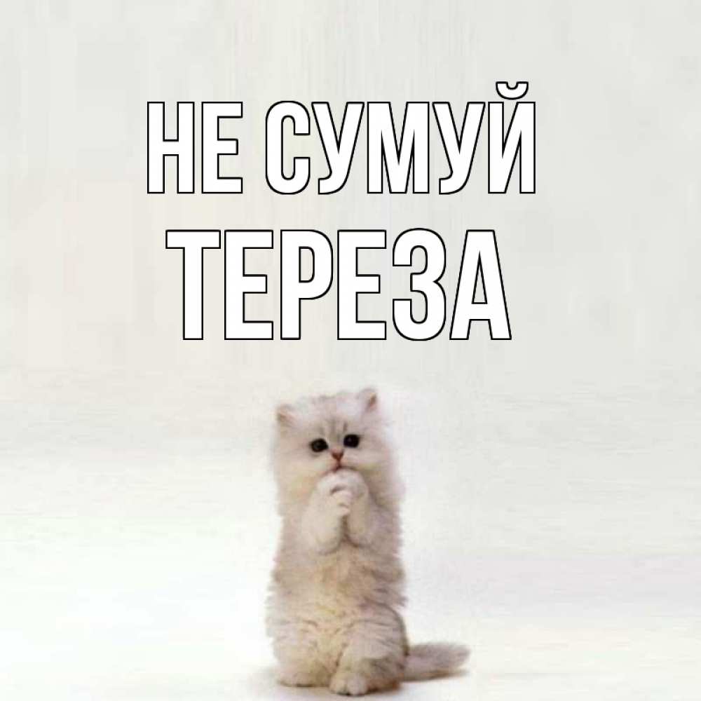 Открытка на каждый день з підписом, Тереза Не сумуй грустный кот Прикольна листівка з побажанням онлайн скачати безкоштовно 
