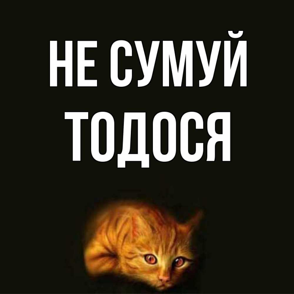 Открытка на каждый день з підписом, Тодося Не сумуй лежащий кот в темноте Прикольна листівка з побажанням онлайн скачати безкоштовно 
