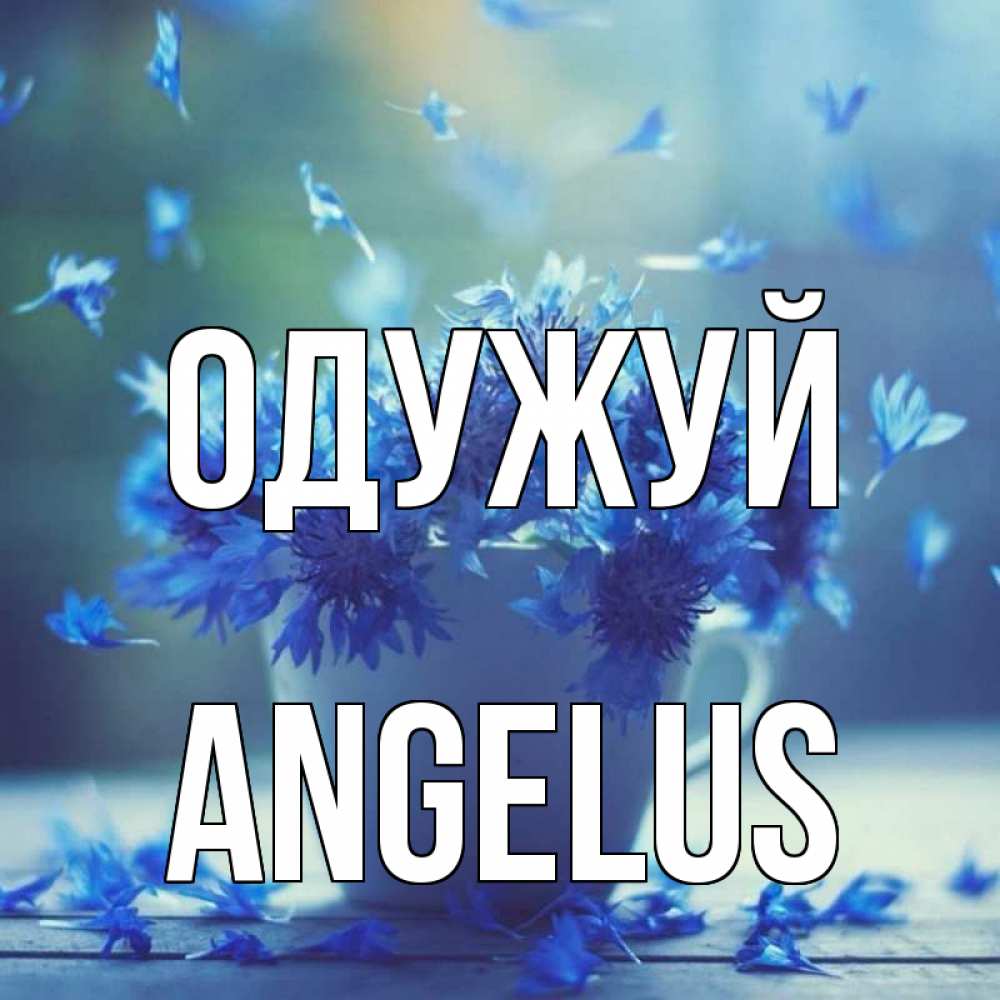 Открытка на каждый день з підписом, Angelus Одужуй кружка с зельем и цветами Прикольна листівка з побажанням онлайн скачати безкоштовно 
