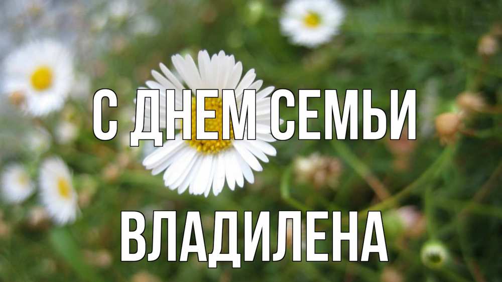 Открытка на каждый день з підписом, Владилена С днем семьи с днем семьи Прикольна листівка з побажанням онлайн скачати безкоштовно 