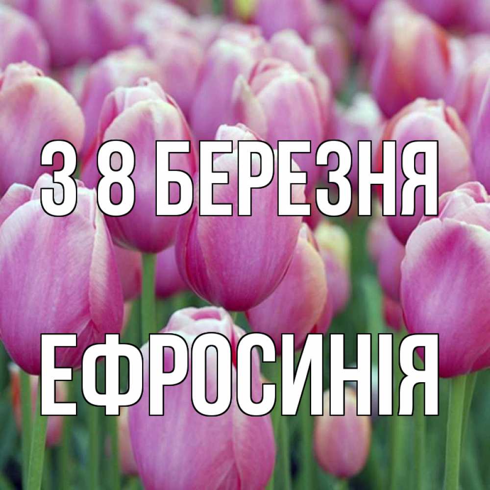 Открытка на каждый день з підписом, Ефросинія З 8 БЕРЕЗНЯ на международный женский день 3 Прикольна листівка з побажанням онлайн скачати безкоштовно 