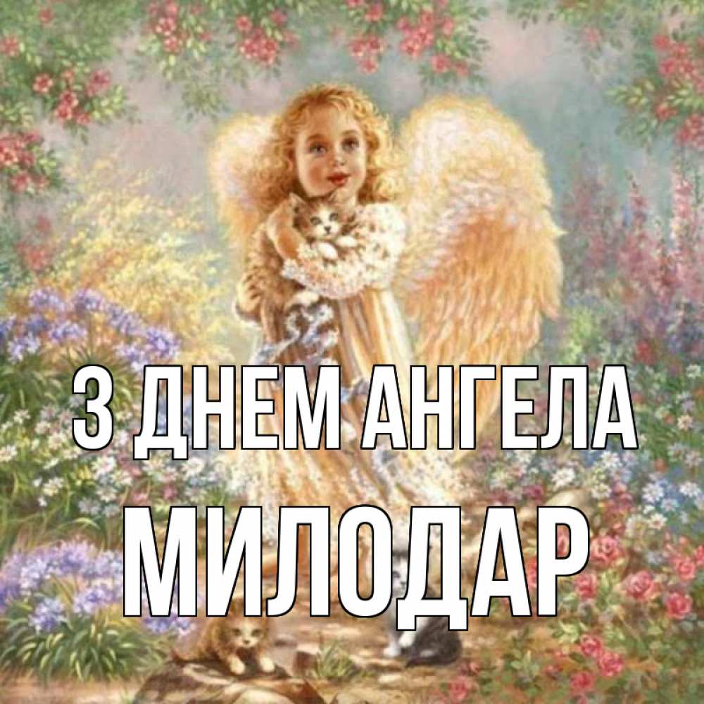 Открытка на каждый день з підписом, Милодар З Днем ангела держит котенка Прикольна листівка з побажанням онлайн скачати безкоштовно 