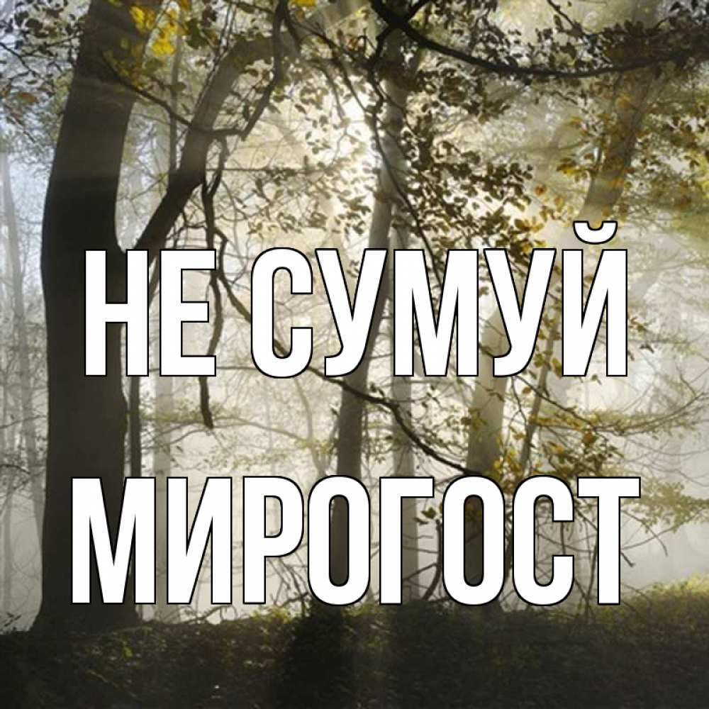 Открытка на каждый день з підписом, Мирогост Не сумуй лес и свет Прикольна листівка з побажанням онлайн скачати безкоштовно 