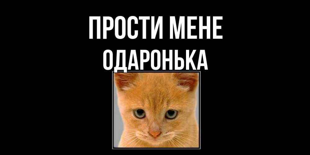 Открытка на каждый день з підписом, Одаронька Прости мене рыжий грустный кот просит прощения Прикольна листівка з побажанням онлайн скачати безкоштовно 