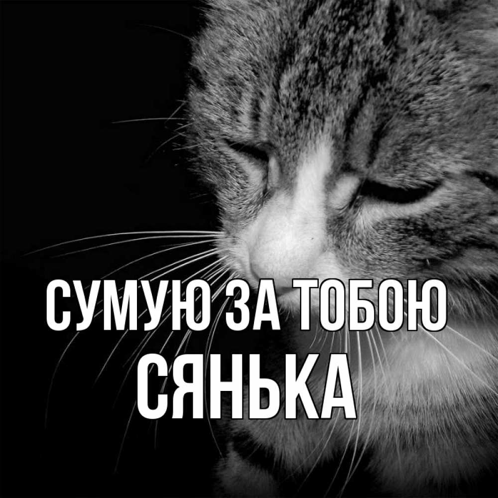 Открытка на каждый день з підписом, Сянька Сумую за тобою мне скучно Прикольна листівка з побажанням онлайн скачати безкоштовно 