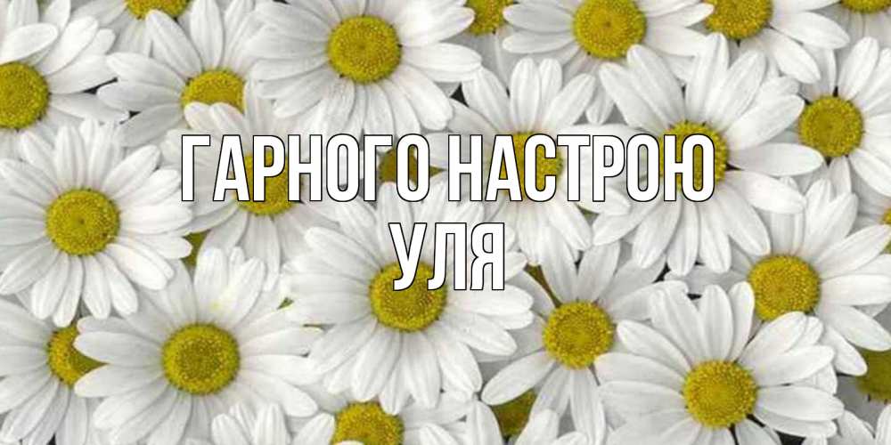Открытка на каждый день з підписом, Уля Гарного настрою поляна ромашек Прикольна листівка з побажанням онлайн скачати безкоштовно 