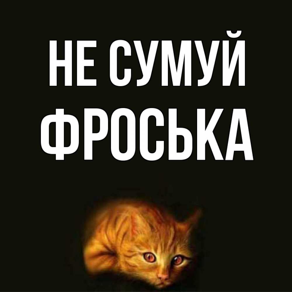 Открытка на каждый день з підписом, Фроська Не сумуй лежащий кот в темноте Прикольна листівка з побажанням онлайн скачати безкоштовно 