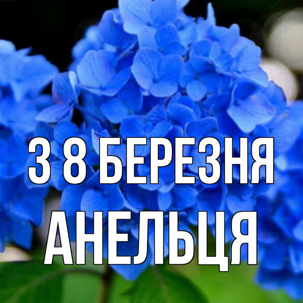 Открытка на каждый день з підписом, Анельця З 8 БЕРЕЗНЯ синие цветы Прикольна листівка з побажанням онлайн скачати безкоштовно 