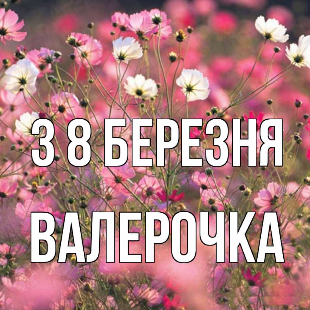 Открытка на каждый день з підписом, Валерочка З 8 БЕРЕЗНЯ красиво 1 Прикольна листівка з побажанням онлайн скачати безкоштовно 