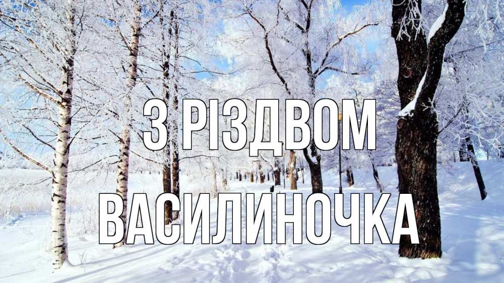 Открытка на каждый день з підписом, Василиночка З Різдвом зимний лес Прикольна листівка з побажанням онлайн скачати безкоштовно 