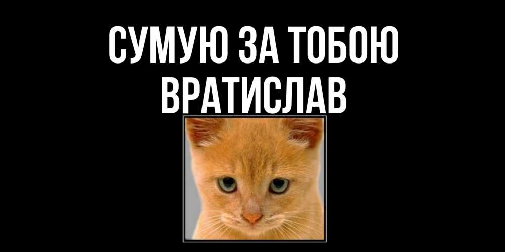 Открытка на каждый день з підписом, Вратислав Сумую за тобою открытки рыжий котенок скучает по тебе Прикольна листівка з побажанням онлайн скачати безкоштовно 
