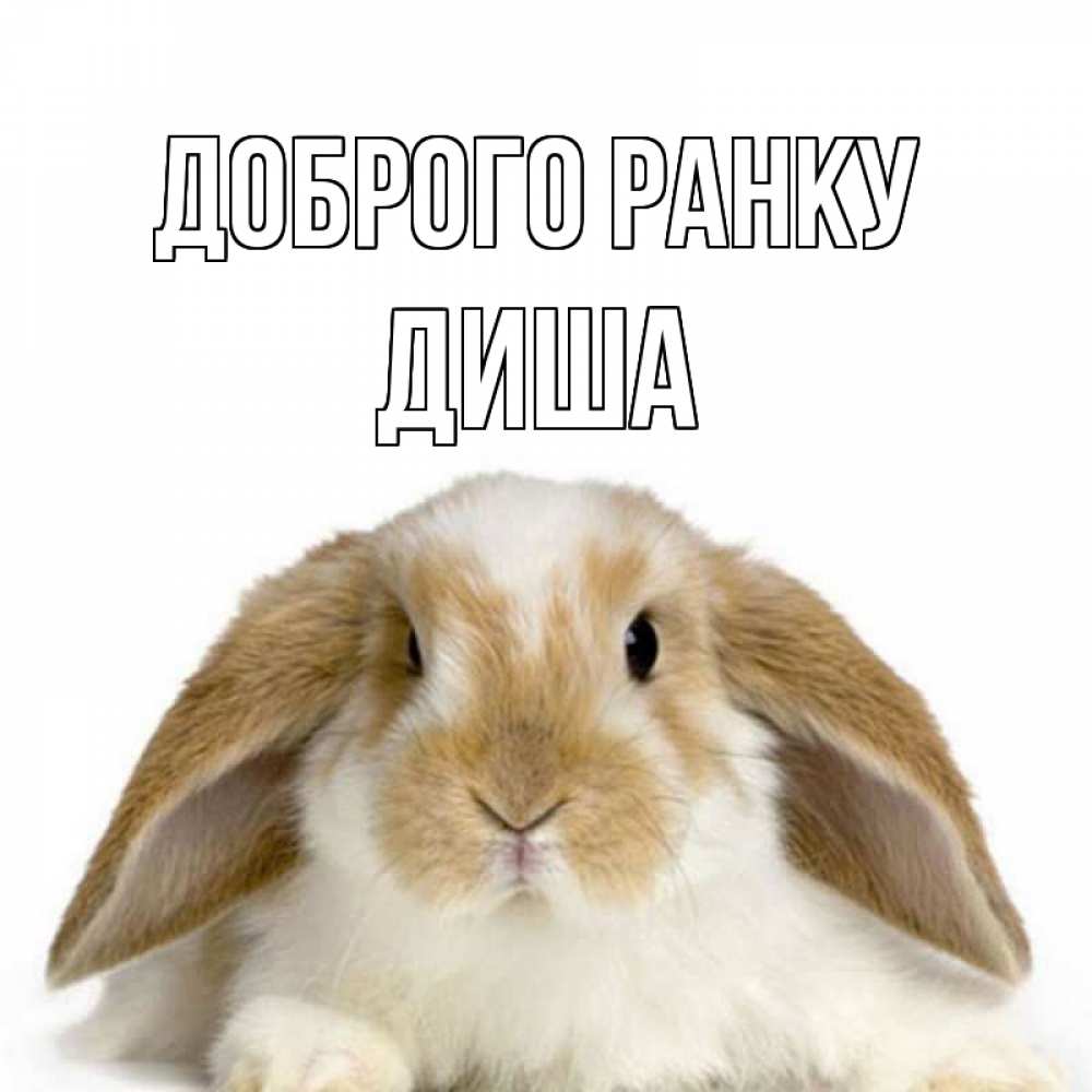 Открытка на каждый день з підписом, Диша Доброго ранку прикольные открытки на каждый день Прикольна листівка з побажанням онлайн скачати безкоштовно 