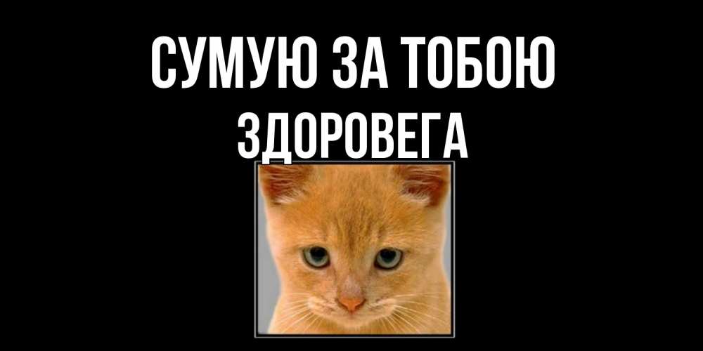Открытка на каждый день з підписом, Здоровега Сумую за тобою открытки рыжий котенок скучает по тебе Прикольна листівка з побажанням онлайн скачати безкоштовно 