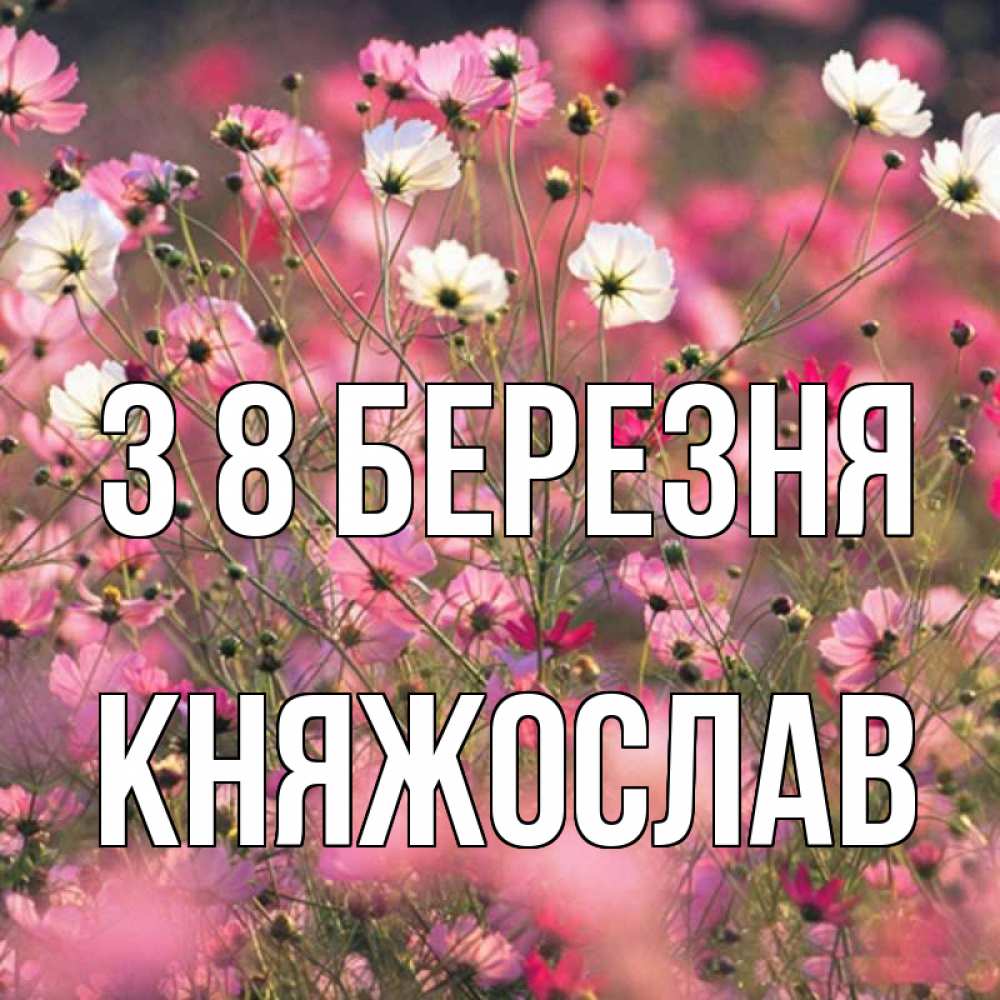Открытка на каждый день з підписом, Княжослав З 8 БЕРЕЗНЯ красиво 1 Прикольна листівка з побажанням онлайн скачати безкоштовно 