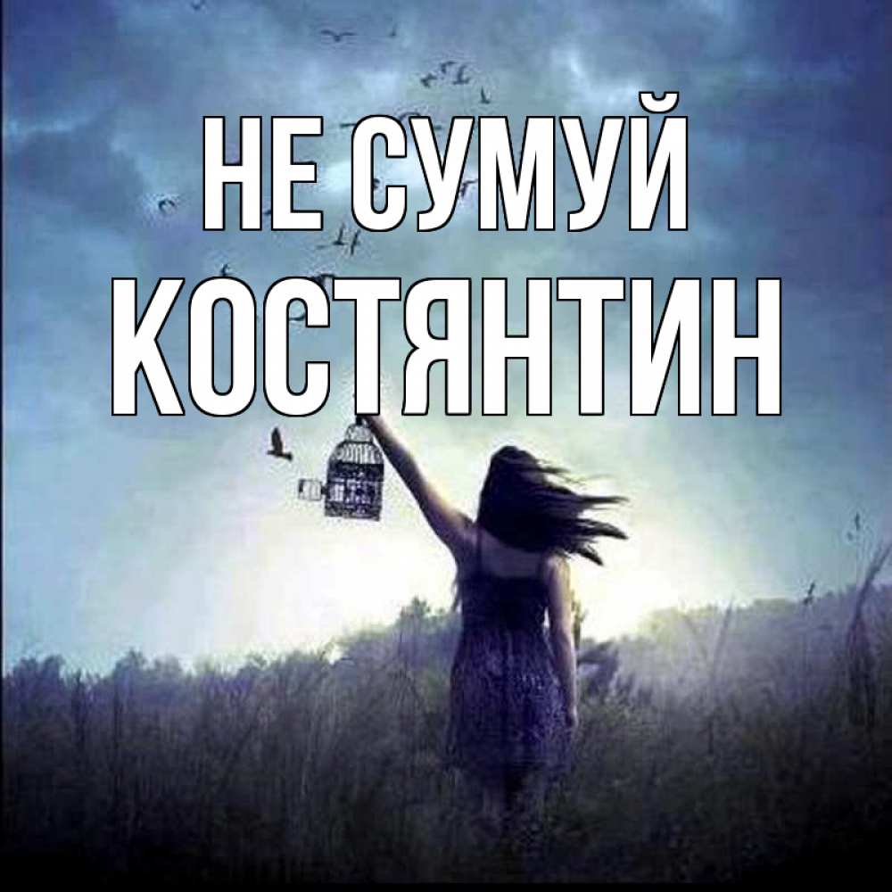 Открытка на каждый день з підписом, Костянтин Не сумуй на волю Прикольна листівка з побажанням онлайн скачати безкоштовно 