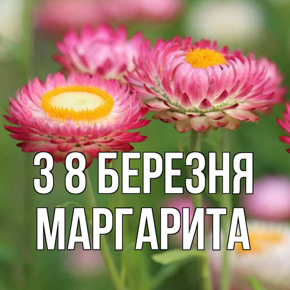 Открытка на каждый день з підписом, Маргарита З 8 БЕРЕЗНЯ подарок на международный женский день Прикольна листівка з побажанням онлайн скачати безкоштовно 