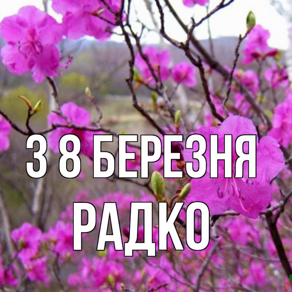 Открытка на каждый день з підписом, Радко З 8 БЕРЕЗНЯ международный женский день Прикольна листівка з побажанням онлайн скачати безкоштовно 