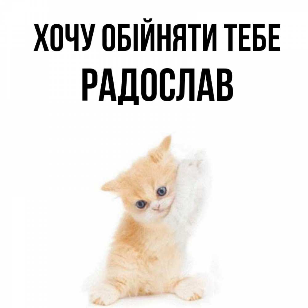 Открытка на каждый день з підписом, Радослав Хочу обійняти тебе я хочу очень скорее обнимаешек Прикольна листівка з побажанням онлайн скачати безкоштовно 
