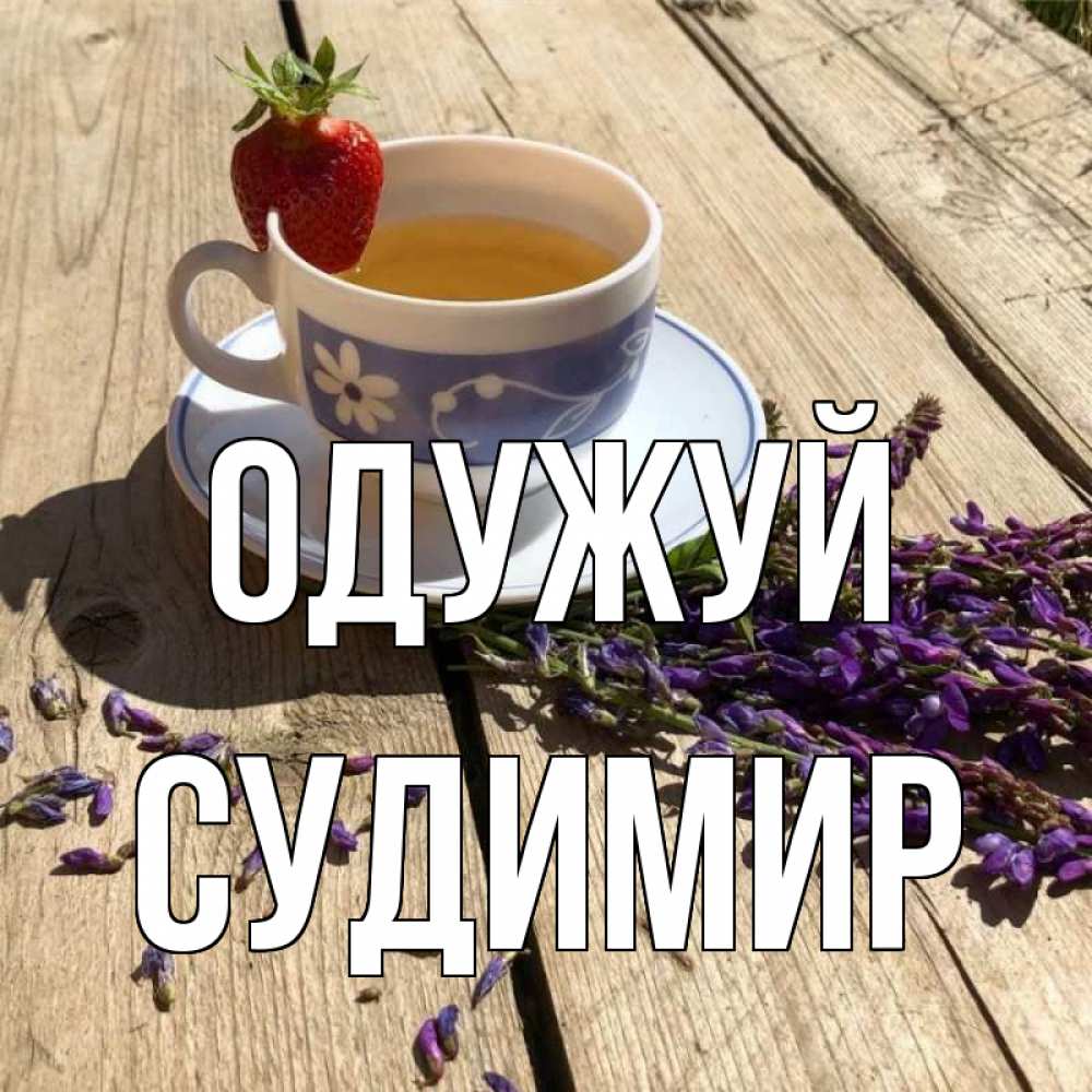 Открытка на каждый день з підписом, Судимир Одужуй чай Прикольна листівка з побажанням онлайн скачати безкоштовно 