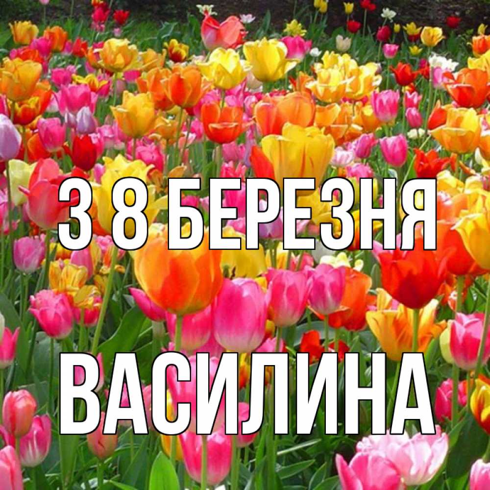 Открытка на каждый день з підписом, Василина З 8 БЕРЕЗНЯ на международный женский день Прикольна листівка з побажанням онлайн скачати безкоштовно 