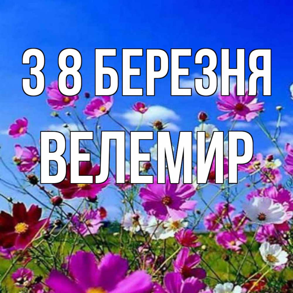 Открытка на каждый день з підписом, Велемир З 8 БЕРЕЗНЯ цветы Прикольна листівка з побажанням онлайн скачати безкоштовно 