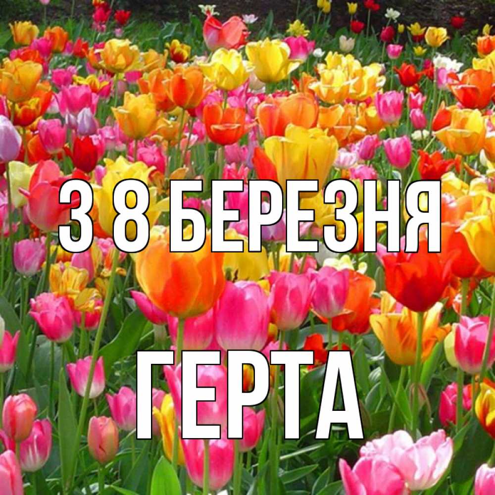 Открытка на каждый день з підписом, Герта З 8 БЕРЕЗНЯ на международный женский день Прикольна листівка з побажанням онлайн скачати безкоштовно 