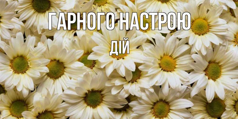Открытка на каждый день з підписом, Дій Гарного настрою крупные ромашки Прикольна листівка з побажанням онлайн скачати безкоштовно 